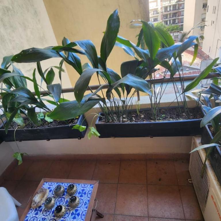 Hestia at Recoleta Cozy & Bright 1 BDR amenities - Apartamento - 7
