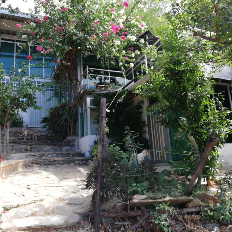 IronHouse Taganga Apartasuite - One-Bedroom Apartment with Terrace - 2