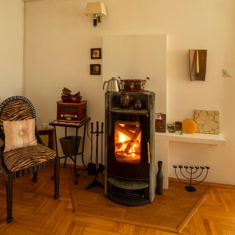 Villa Garden - Vila sa Sopstvenim Bazenom - 6