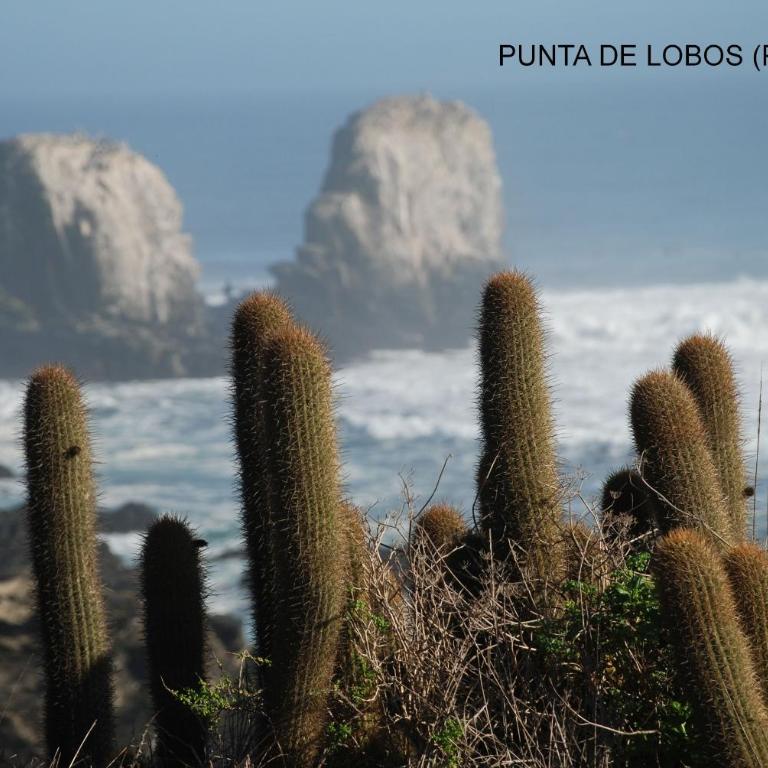 LITUECHE Casa Marea - Two-Bedroom House - 8