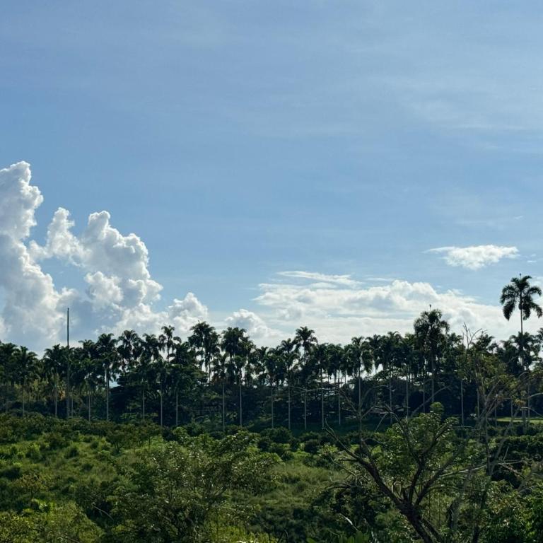 Hacienda Parceros Group Morelia - Casa de 5 dormitorios - 4