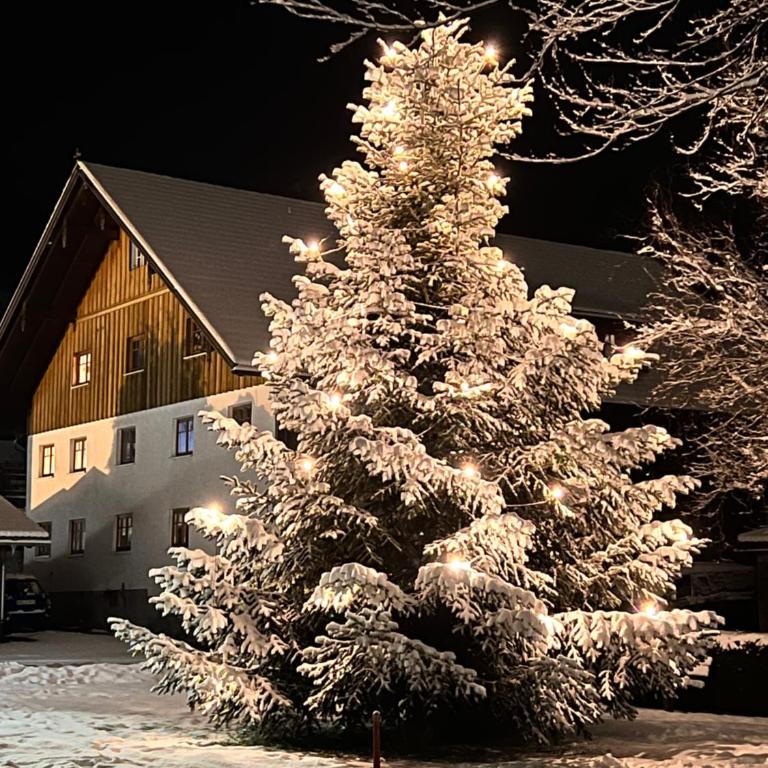 Edelschwarz Allgäu - Maisonette-Apartment - 37