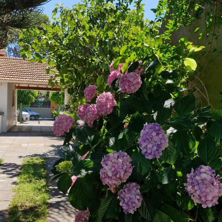Casa Castelli - Three-Bedroom Townhouse - 17