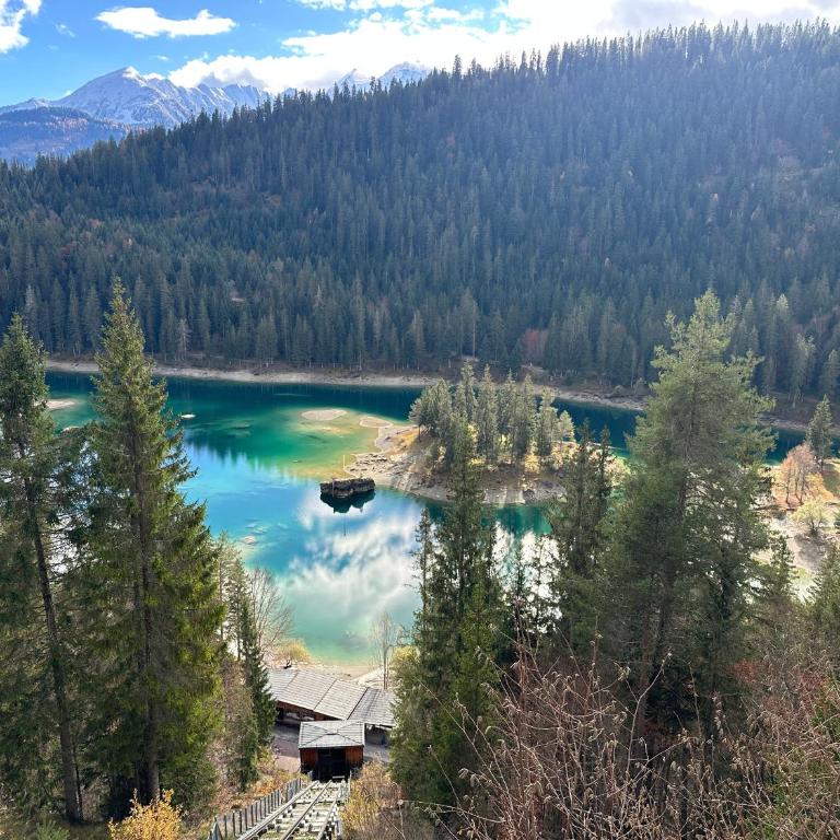 Bergstudio II I Flims Laax I Ski I Berg I Gratis Parkplatz - Studio-Apartment mit 1 Doppelbett - 50