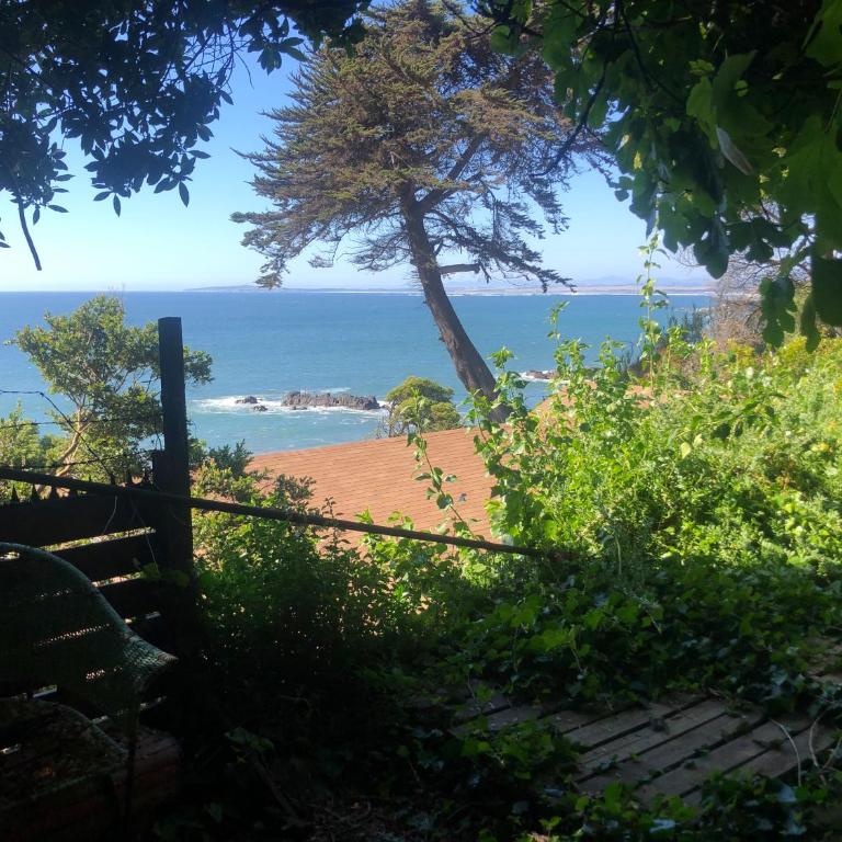 Chalet Bordemar - One-Bedroom House - 14