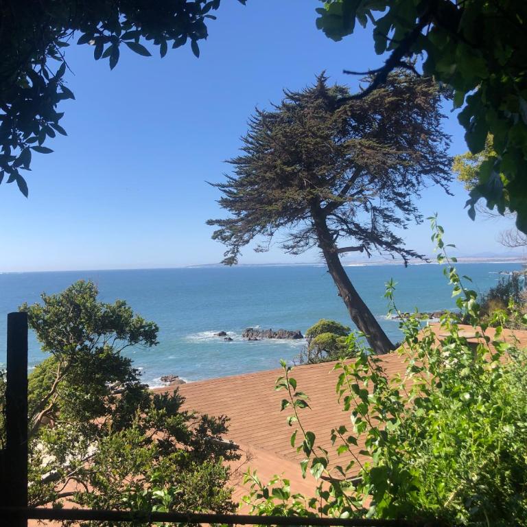 Chalet Bordemar - One-Bedroom House - 15