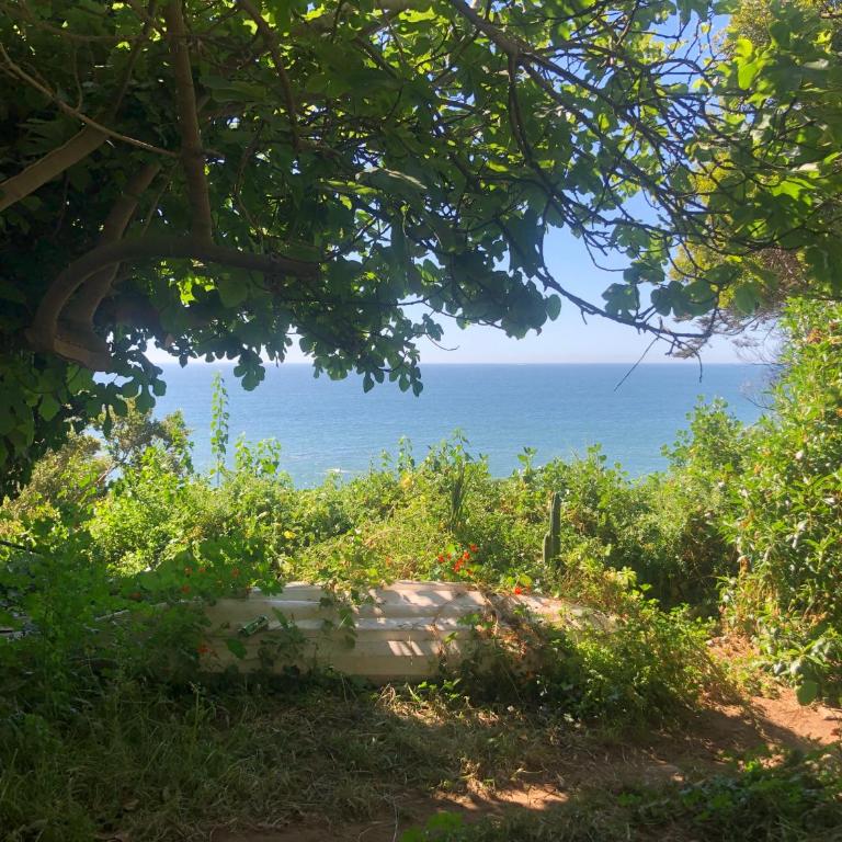 Chalet Bordemar - One-Bedroom House - 18