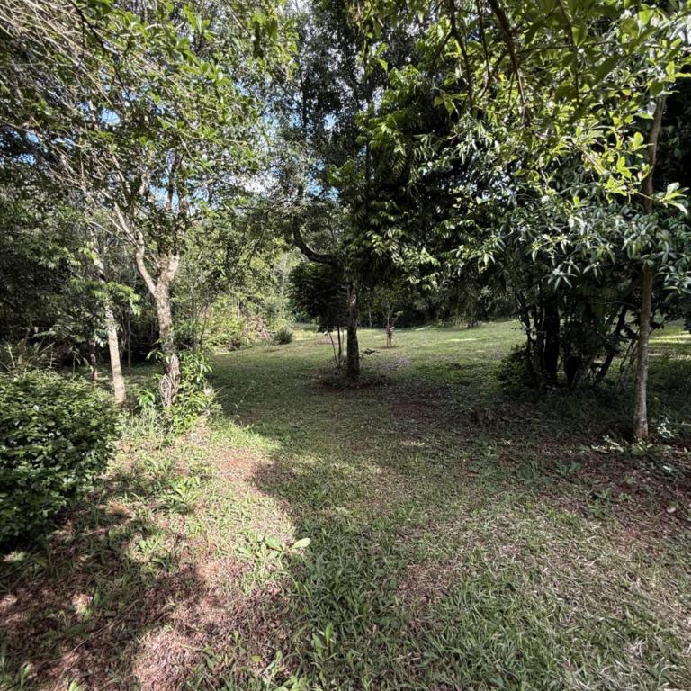 Luz de campo - Two-Bedroom House - 23