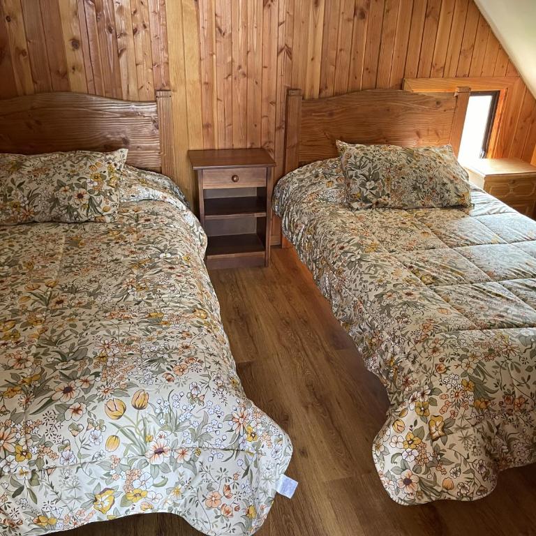 Cabaña Villarrica 1254 - Casa - 13