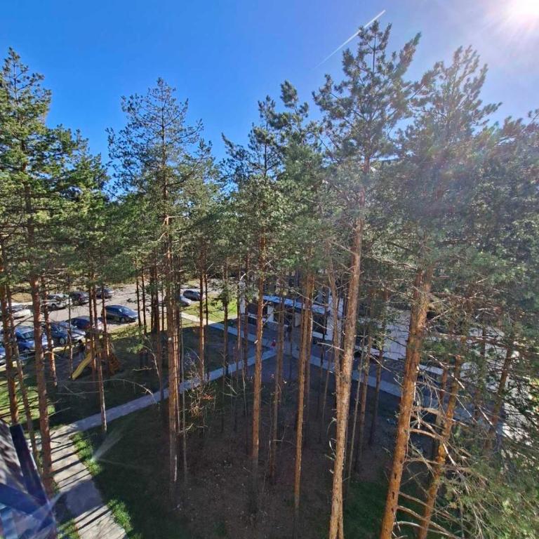 Apartman Zeleni vrhovi - One-Bedroom Apartment - 31