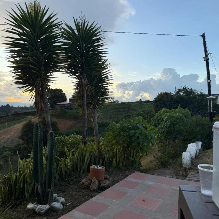 Encantadora finca en el corazón de Marinilla con vistas únicas y ubicación privilegiada - Casa - 4