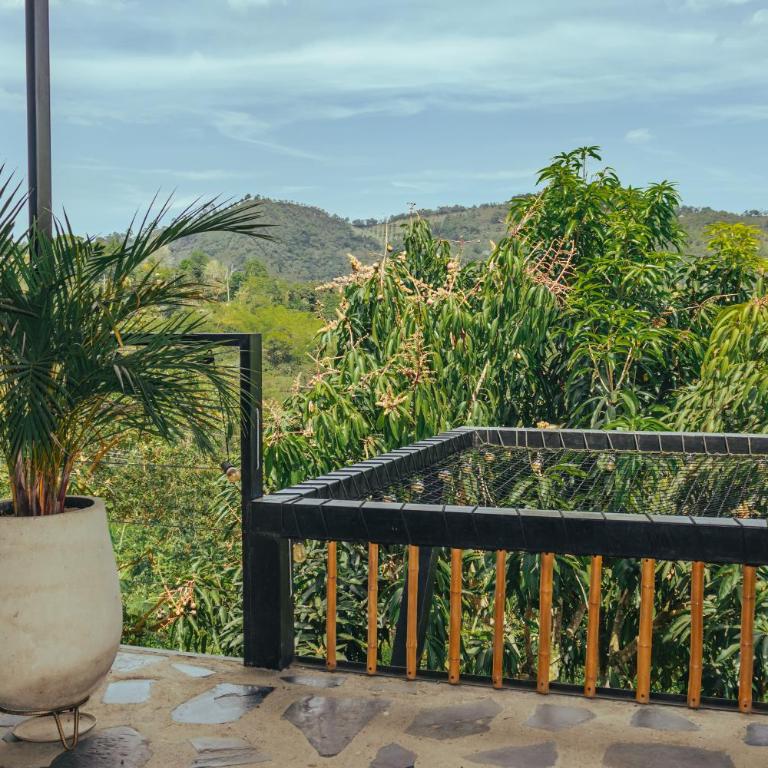 Finca El Fin del Afán - La Vega - Cottage with Garden View - 6