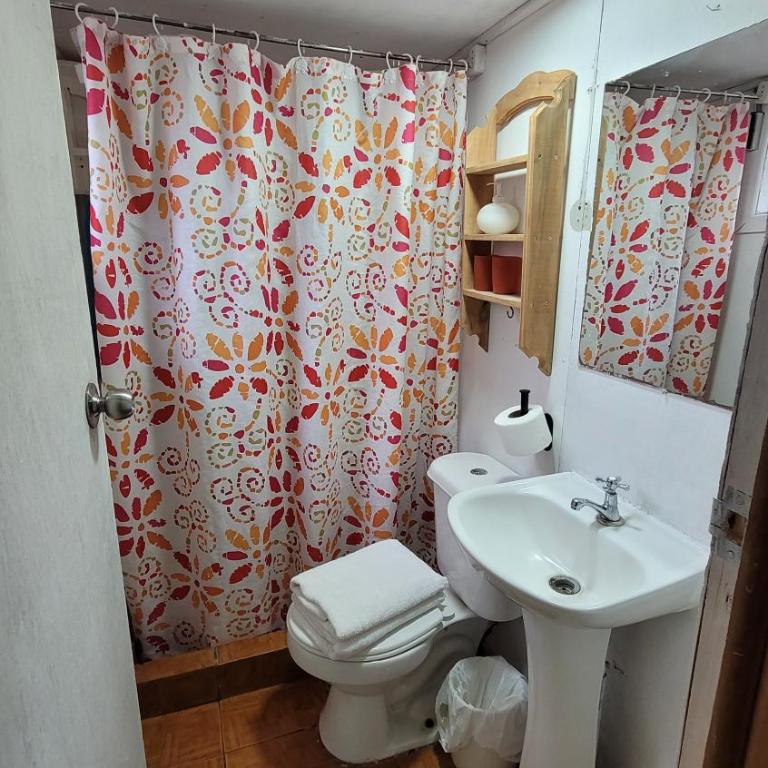 Cabañas Aguas Claras - Estudio con vistas al jardín - 2