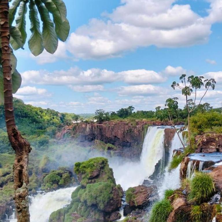 La Criolla Iguazu - One-Bedroom Apartment - 5