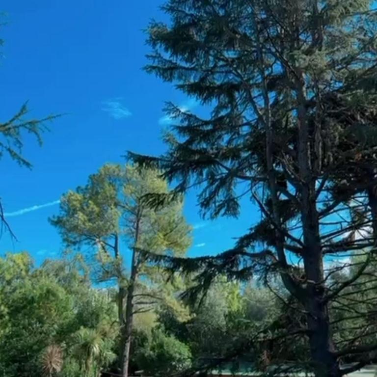 Cabañas El encuentro - Casa con 1 dormitorio - 22