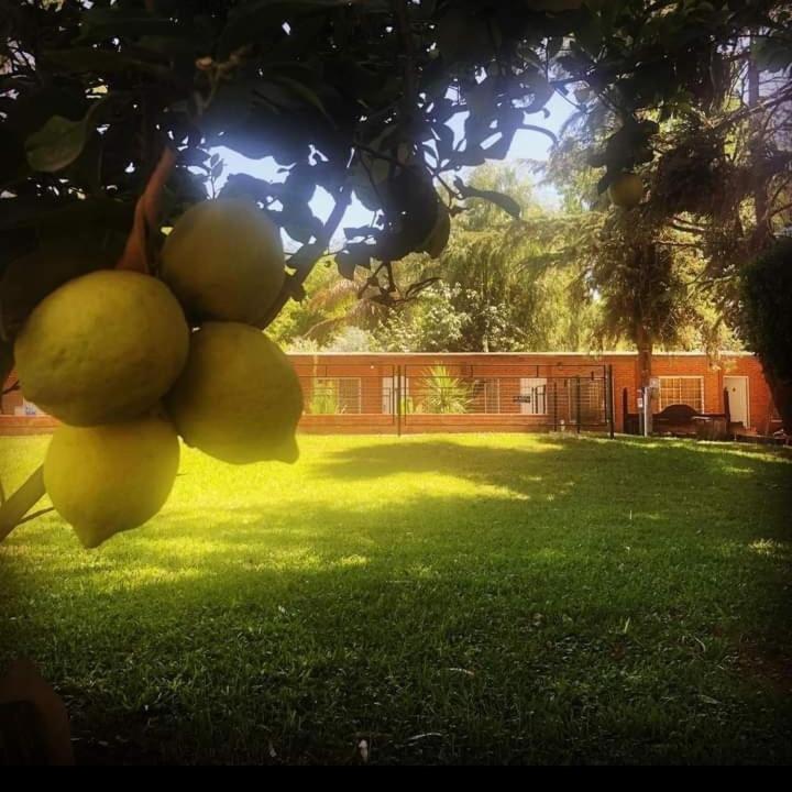 Cabañas El encuentro - Casa con 1 dormitorio - 23