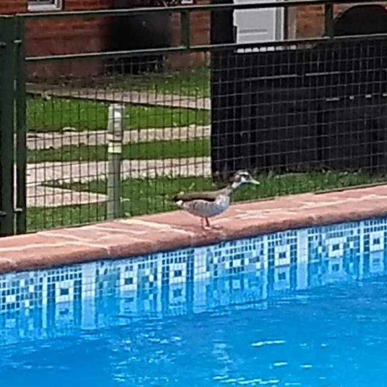 Cabañas El encuentro - Casa con 1 dormitorio - 28