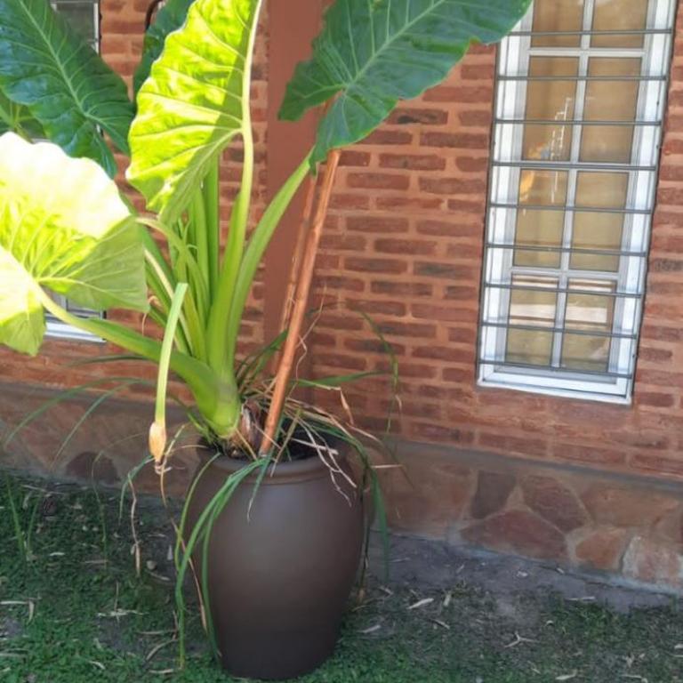 Cabañas El encuentro - Casa con 1 dormitorio - 54