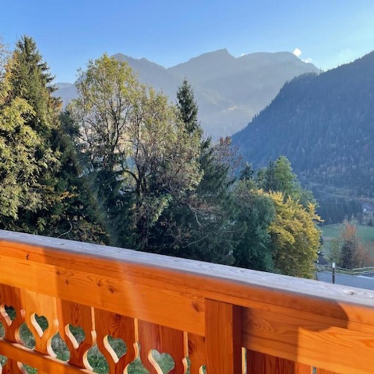 Superbe appartement à Châtel : 6 pers., parking, terrasse vue montagnes - Appartement 3 Chambres - 10