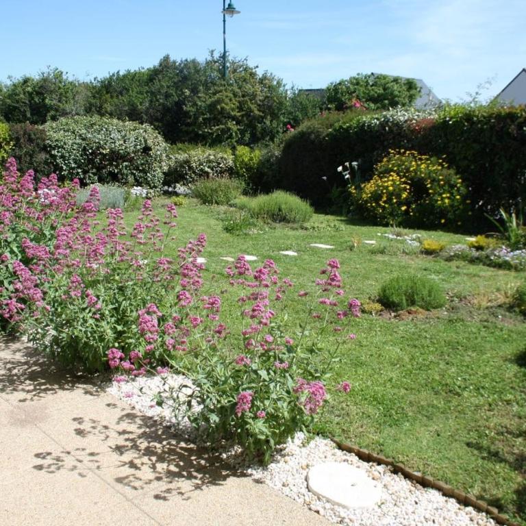 Appartement T3 rez-de-jardin, proche port Crouesty, wifi, parking - FR-1-775-39 - Appartement - 13