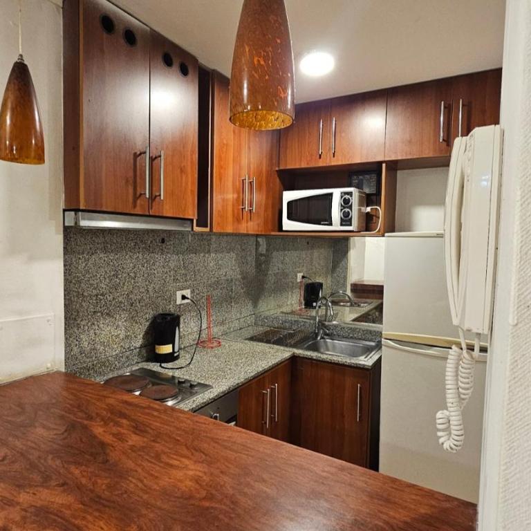 Mall marina , estacionamiento piscina - One-Bedroom Apartment - 6