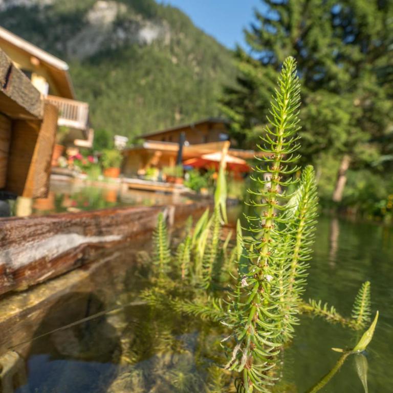 Apartments am Burggraben - Apartment mit Sauna - 18