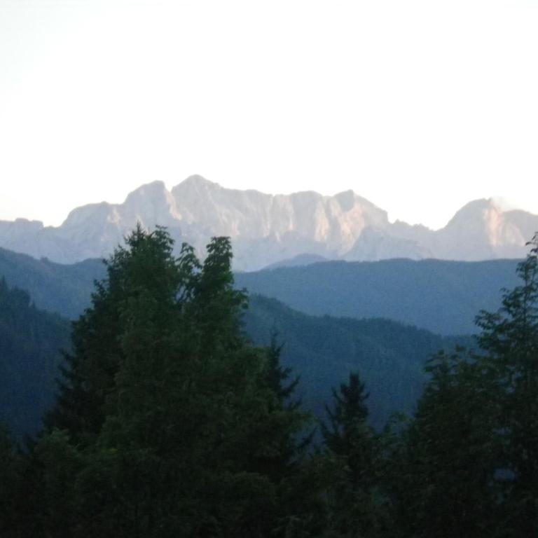 Ferienhaus Abhau-Tage - Ferienhaus - 24