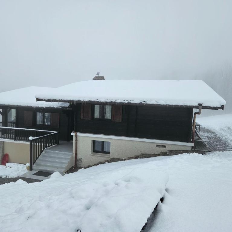 Venez chez vous - Chalet le Dahu - Chalet - 81