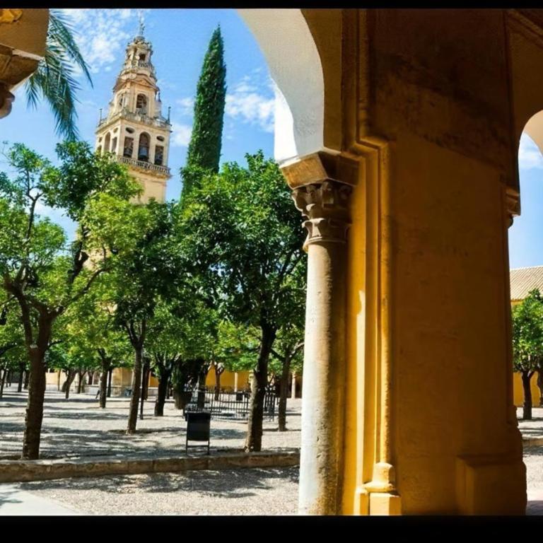 Él Encanto cordobés - Apartamento de 3 dormitorios - 26