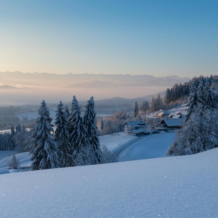 Ferienwohnung BergWolke mit Pool, Sauna & Bergblick - Appartement 1 Chambre - 40