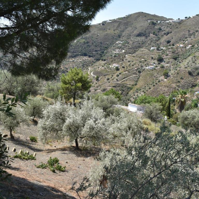 Finca Aguaillo - 20 min walk to Competa - Casa de 2 dormitorios - 49
