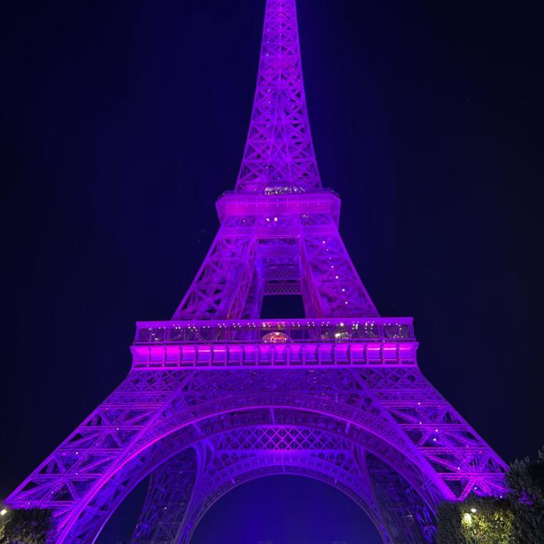 Eiffel Tower Oasis 30m from Eiffel Tower - Chambre Double avec Salle de Bains Privative - 3