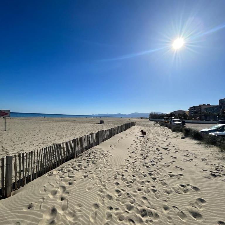 Cosy T2 avec vue imprenable sur la mer - Appartamento con 1 Camera da Letto - 26