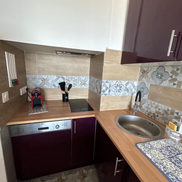 Cosy T2 avec vue imprenable sur la mer - Appartamento con 1 Camera da Letto - 9
