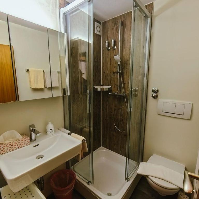 Hotel Binderhäusl - Habitación Doble Pequeña - 1