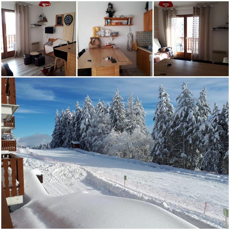 Appartement 5 personnes en station Savoie Grand Revard au pied des pistes - One-Bedroom Apartment - 8