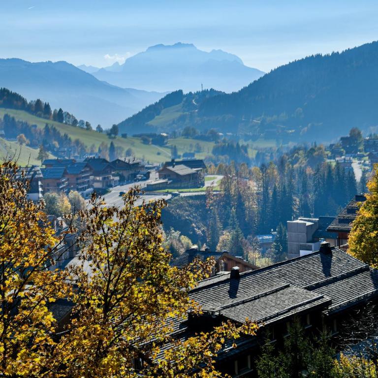 Les Chalets de L'Aiguille B201 - Appartement 2 Chambres - 11