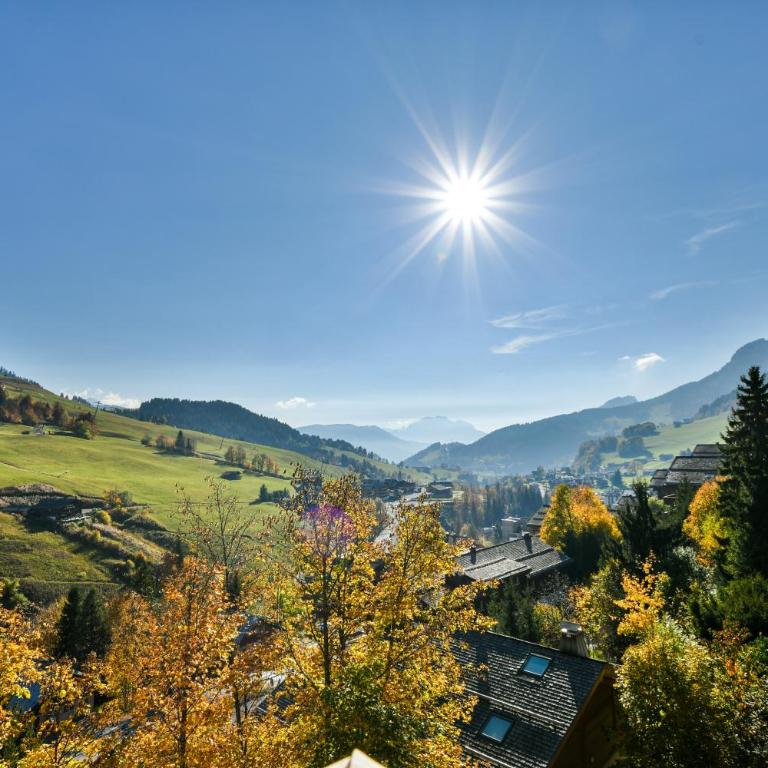Les Chalets de L'Aiguille B201 - Appartement 2 Chambres - 27