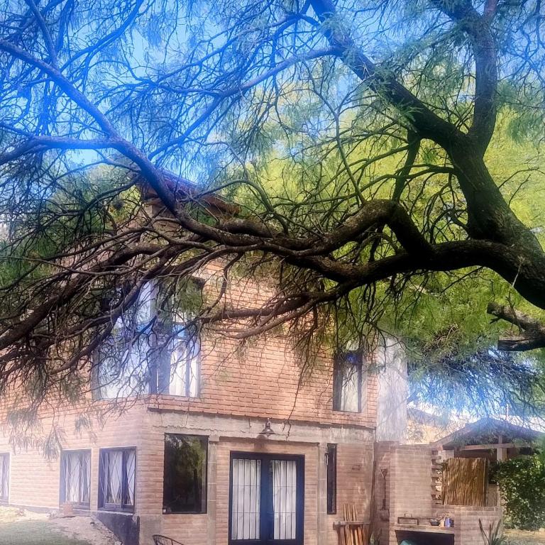 La Obra - Apartamento de 2 dormitorios - 1