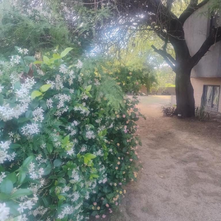 La Obra - Apartamento de 2 dormitorios - 2