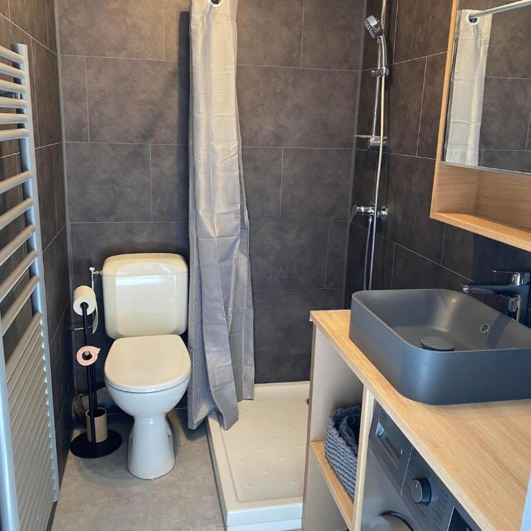 Grand Bornand Village, proche ski et commerces, avec Terrasse - Apartment mit 1 Schlafzimmer - 5