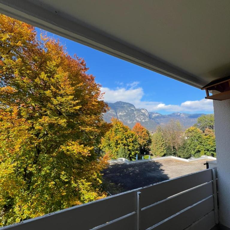 Red Fox Apartment - Appartement 2 Chambres - 21