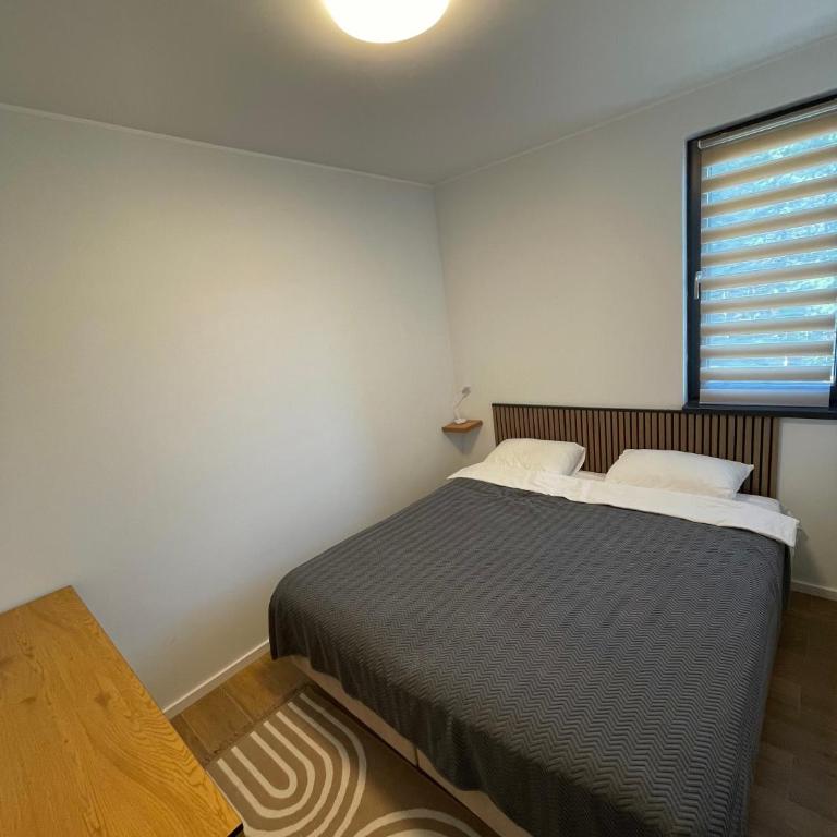 Boggi Apartman, Kopaonik - Apartman sa 1 Spavaćom Sobom - 5