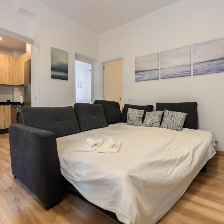 Apartamento con 2 dormitorios, 2 baños y sofá cama ideal para familias en Madrid Temporal CAR1012 - Two-Bedroom Apartment - 24