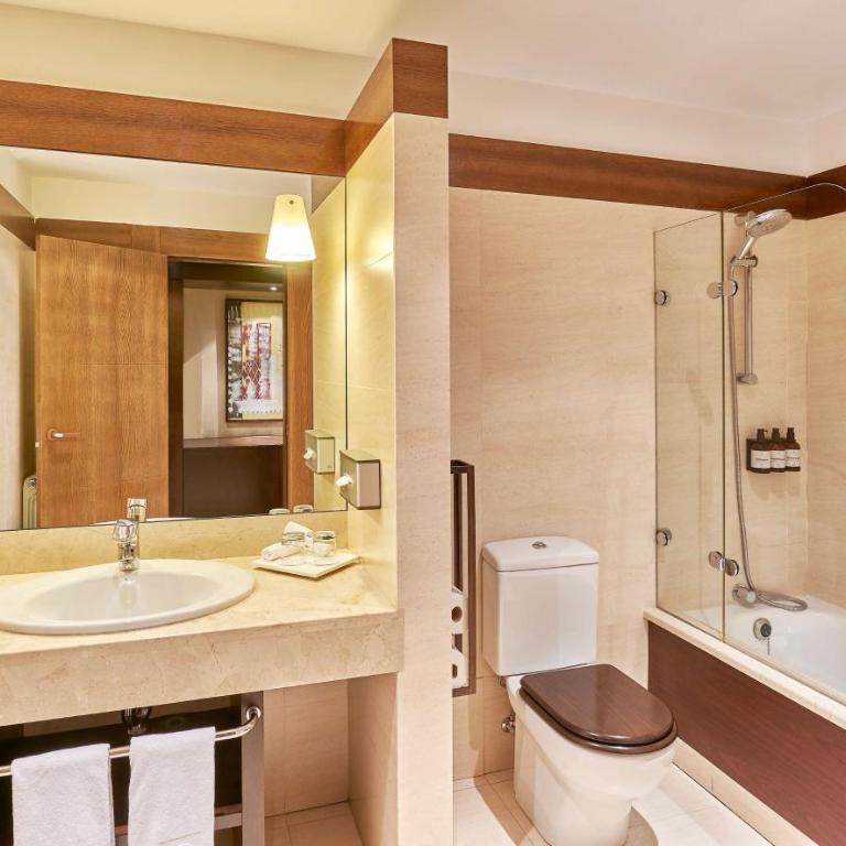 NH Collection Palacio de Burgos - Habitación Doble Superior - 1 o 2 camas - 4