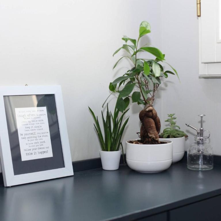 Luce -EXCLUSIVE DESIGN LOFT IN THE HEART OF FLORENCE - Casa Vacanze - 5