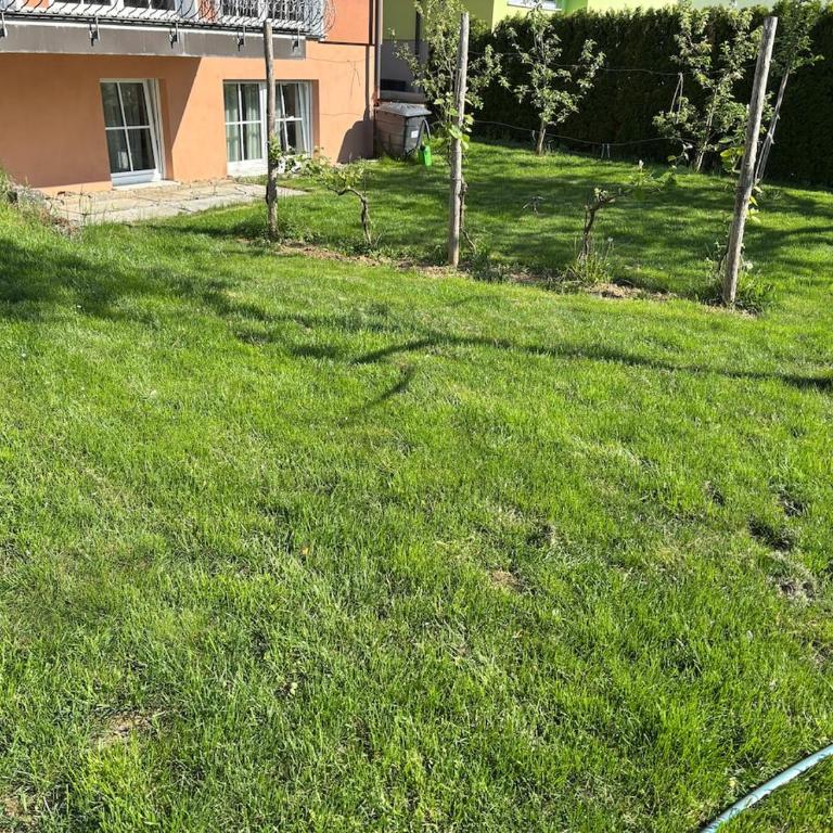 schöne Einliegerwohnung mit Stellplatz - Apartment mit 1 Schlafzimmer - 11