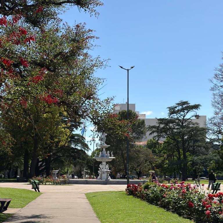 ChivilcoySuiteCentro - Apartamento de 1 dormitorio - 12