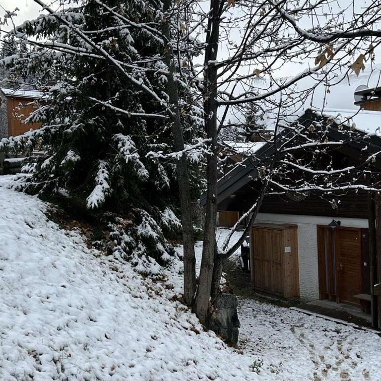 Chalet spacieux à Méribel - Animaux acceptés, parking inclus - FR-1-180-188 - Chalet (10 Adultes) - 28