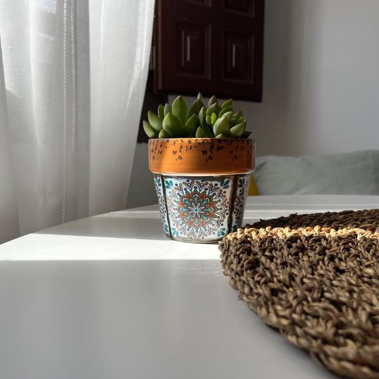 Casa Nido apartments - Studio Apartment - 18